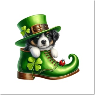 Border Collie Dog Shoes For Patricks Day Posters and Art